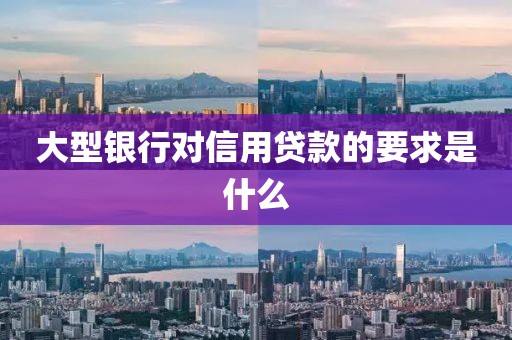 大型银行对信用贷款的要求是什么