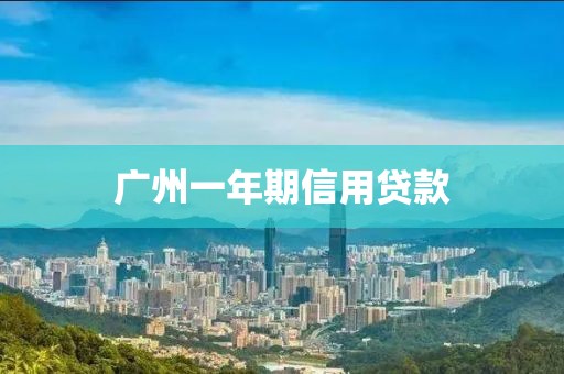 广州一年期信用贷款