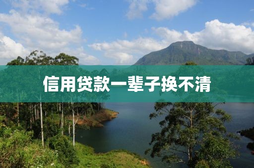 信用贷款一辈子换不清