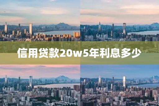 信用贷款20w5年利息多少