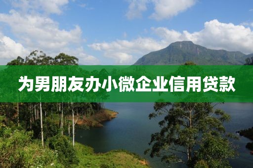 为男朋友办小微企业信用贷款