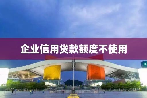 企业信用贷款额度不使用