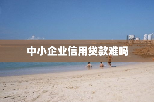 中小企业信用贷款难吗