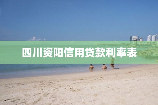 四川资阳信用贷款利率表