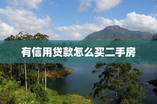 有信用贷款怎么买二手房
