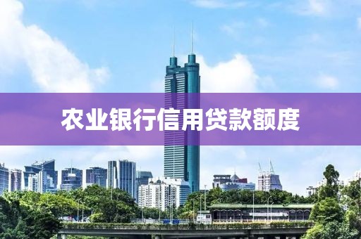 农业银行信用贷款额度