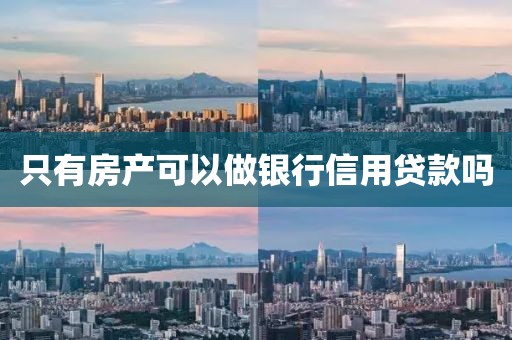 只有房产可以做银行信用贷款吗