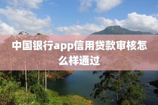 中国银行app信用贷款审核怎么样通过