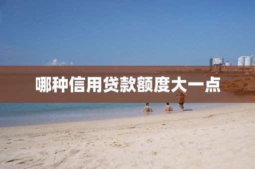 哪种信用贷款额度大一点