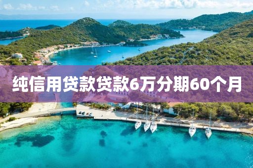 纯信用贷款贷款6万分期60个月
