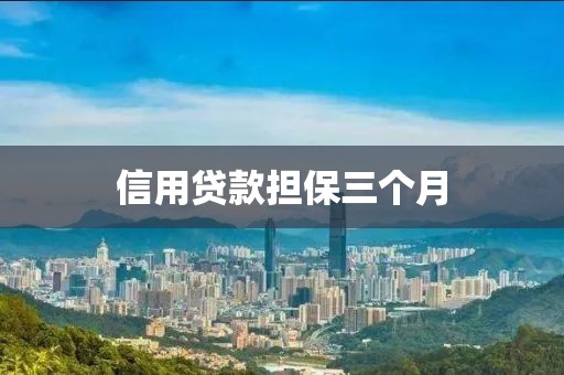 信用贷款担保三个月