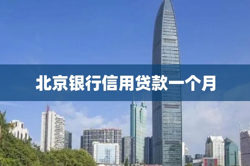 北京银行信用贷款一个月