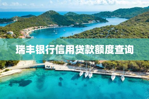 瑞丰银行信用贷款额度查询