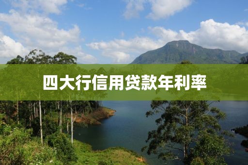 四大行信用贷款年利率