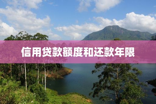 信用贷款额度和还款年限