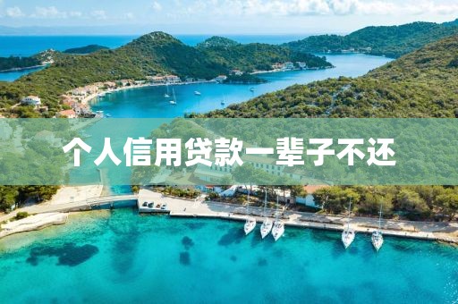 个人信用贷款一辈子不还
