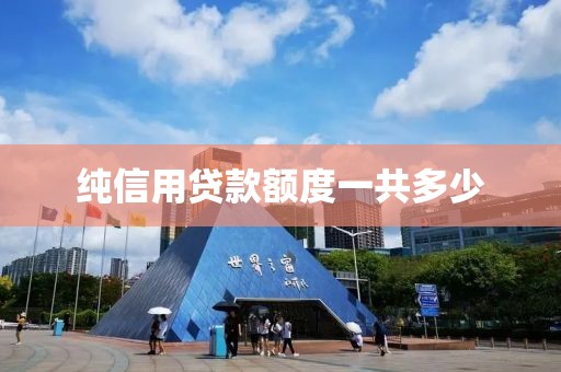 纯信用贷款额度一共多少