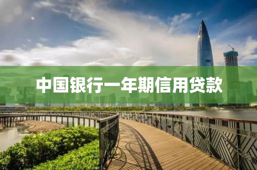 中国银行一年期信用贷款