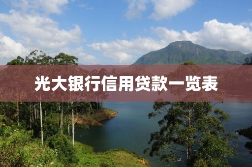光大银行信用贷款一览表