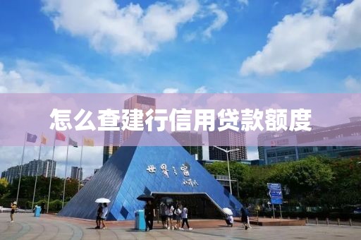 怎么查建行信用贷款额度