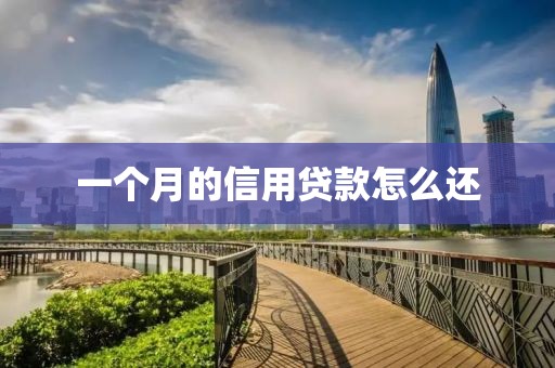 一个月的信用贷款怎么还