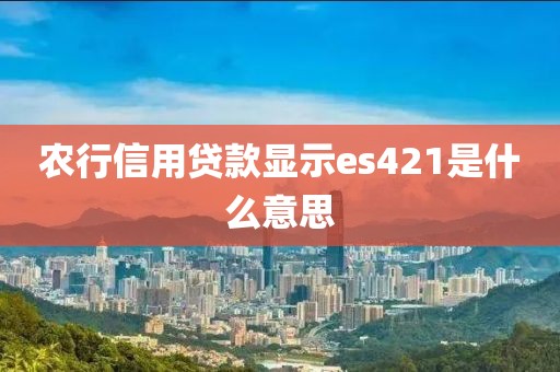 农行信用贷款显示es421是什么意思