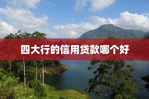 四大行的信用贷款哪个好