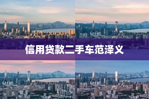 信用贷款二手车范泽义