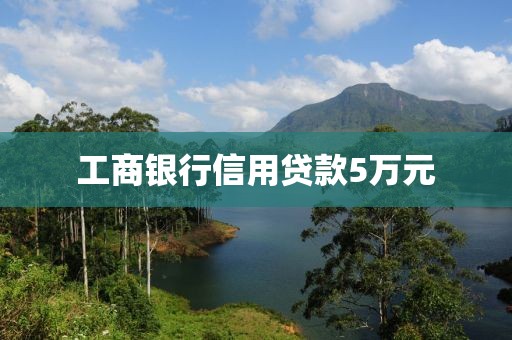 工商银行信用贷款5万元