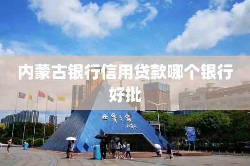 内蒙古银行信用贷款哪个银行好批