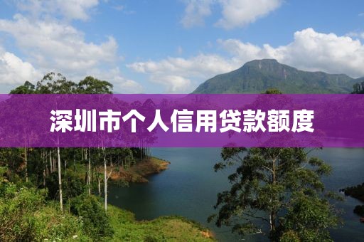 深圳市个人信用贷款额度
