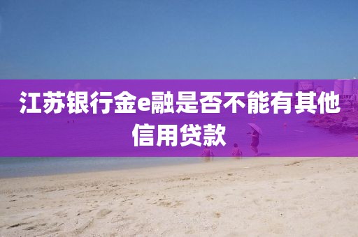 江苏银行金e融是否不能有其他信用贷款