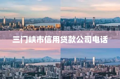 三门峡市信用贷款公司电话