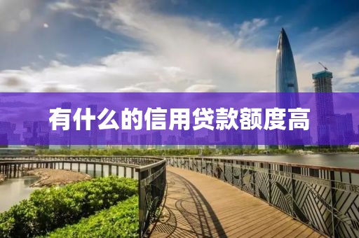 有什么的信用贷款额度高
