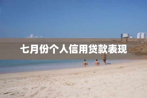 七月份个人信用贷款表现