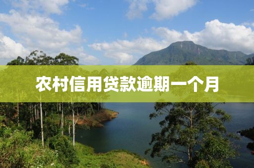 农村信用贷款逾期一个月