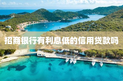 招商银行有利息低的信用贷款吗