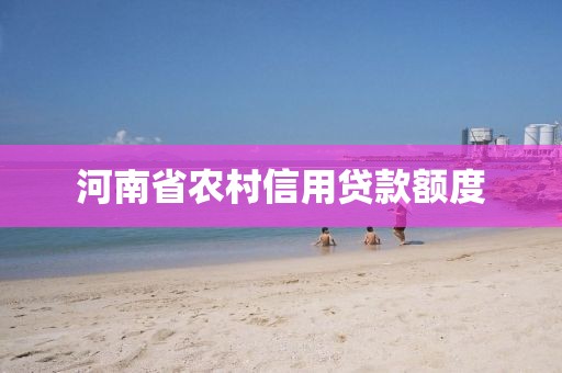 河南省农村信用贷款额度