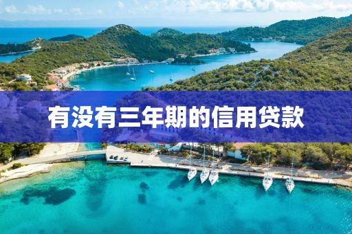 有没有三年期的信用贷款