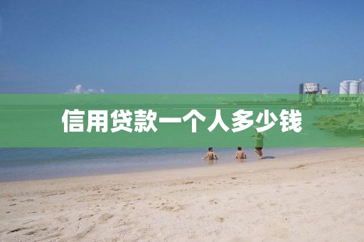信用贷款一个人多少钱