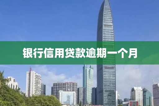 银行信用贷款逾期一个月