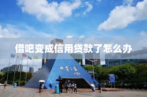 借吧变成信用贷款了怎么办