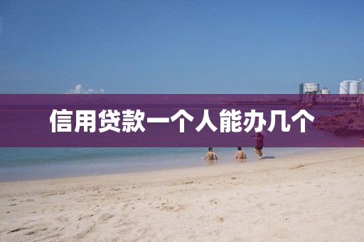信用贷款一个人能办几个
