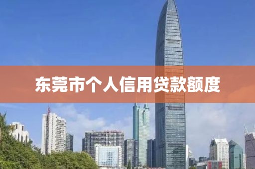 东莞市个人信用贷款额度
