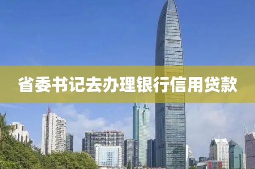 省委书记去办理银行信用贷款