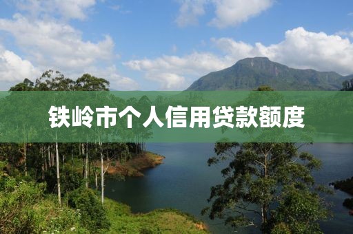 铁岭市个人信用贷款额度
