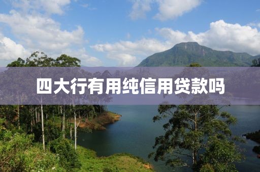 四大行有用纯信用贷款吗