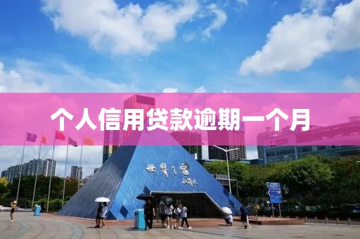 个人信用贷款逾期一个月
