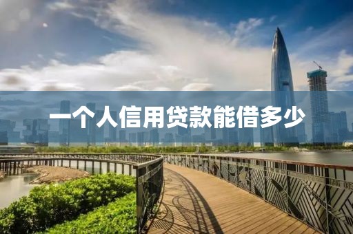 一个人信用贷款能借多少