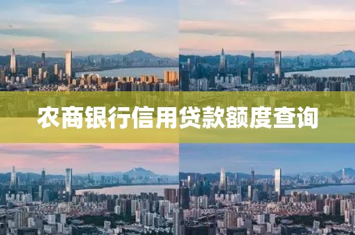 农商银行信用贷款额度查询